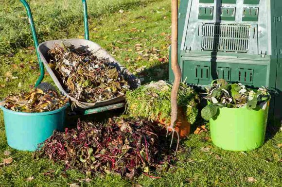 Ramassage et évacuation des déchets verts encombrants - Aix-les-Bains - JO & CO