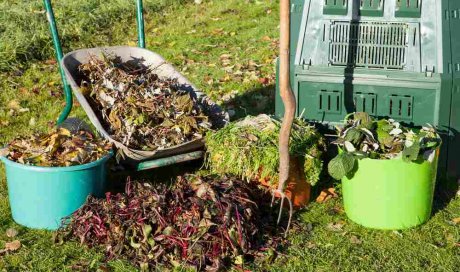 Ramassage et évacuation des déchets verts encombrants - Aix-les-Bains - JO & CO